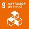 SDGS9