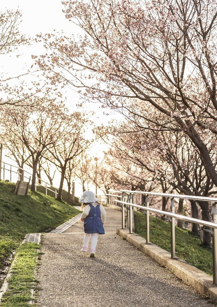 大阪狭山市フォトコンテスト2024年の思い出1次選考通過作品10