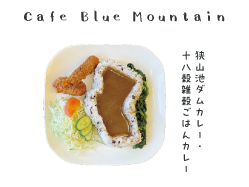 Cafe Blue Mountainの狭山池ダムカレー