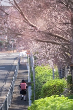 さやま未来プランナー賞