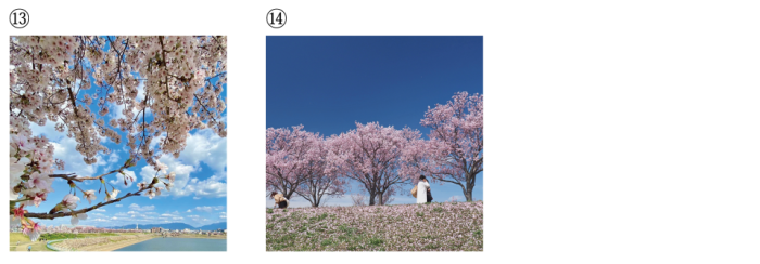 Instagramフォトコンテスト最終候補作品一覧13~14