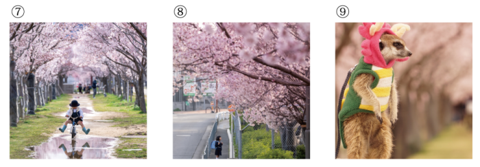 Instagramフォトコンテスト最終候補作品一覧7~9