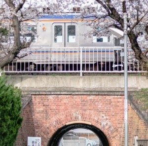 西山朋佳賞
