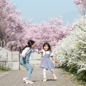 さやりん賞