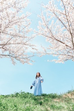 半井重幸賞