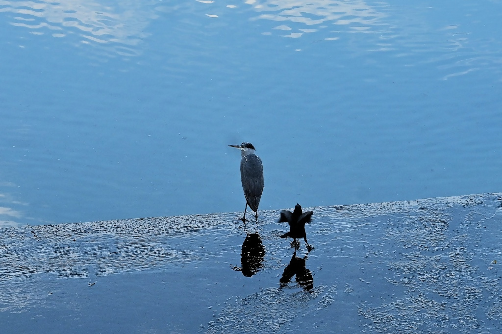 大阪狭山市フォトコンテスト2025年の思い出1次選考通過作品10