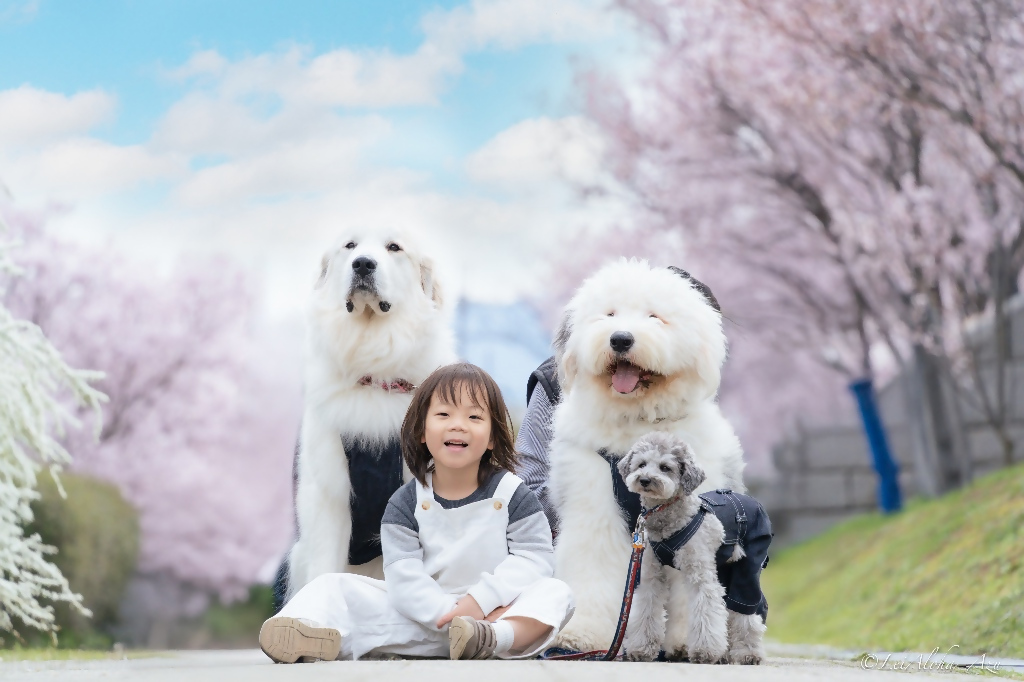 大阪狭山市フォトコンテスト2025年の思い出1次選考通過作品12