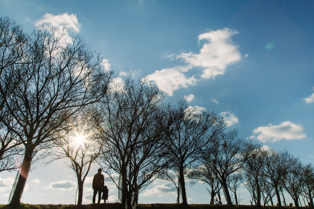 大阪狭山市フォトコンテスト2025年の思い出1次選考通過作品18