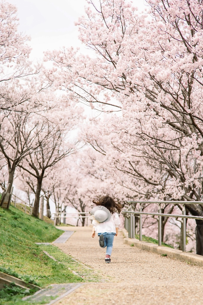 大阪狭山市フォトコンテスト2025年の思い出1次選考通過作品19