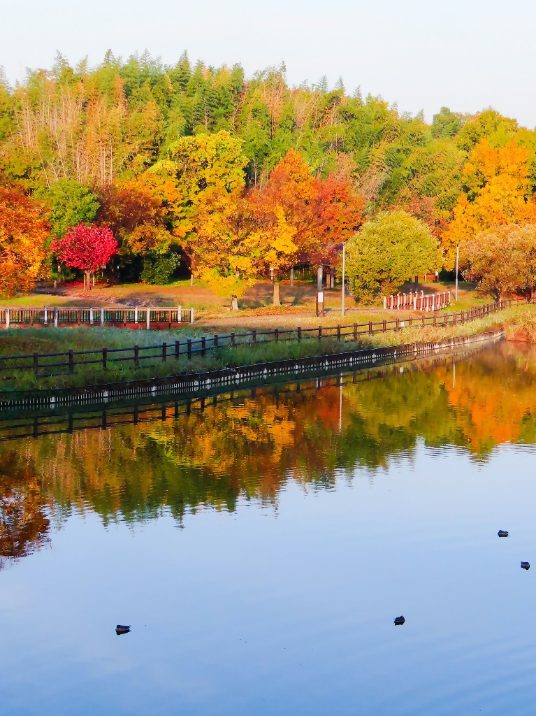 大阪狭山市フォトコンテスト2025年の思い出1次選考通過作品8