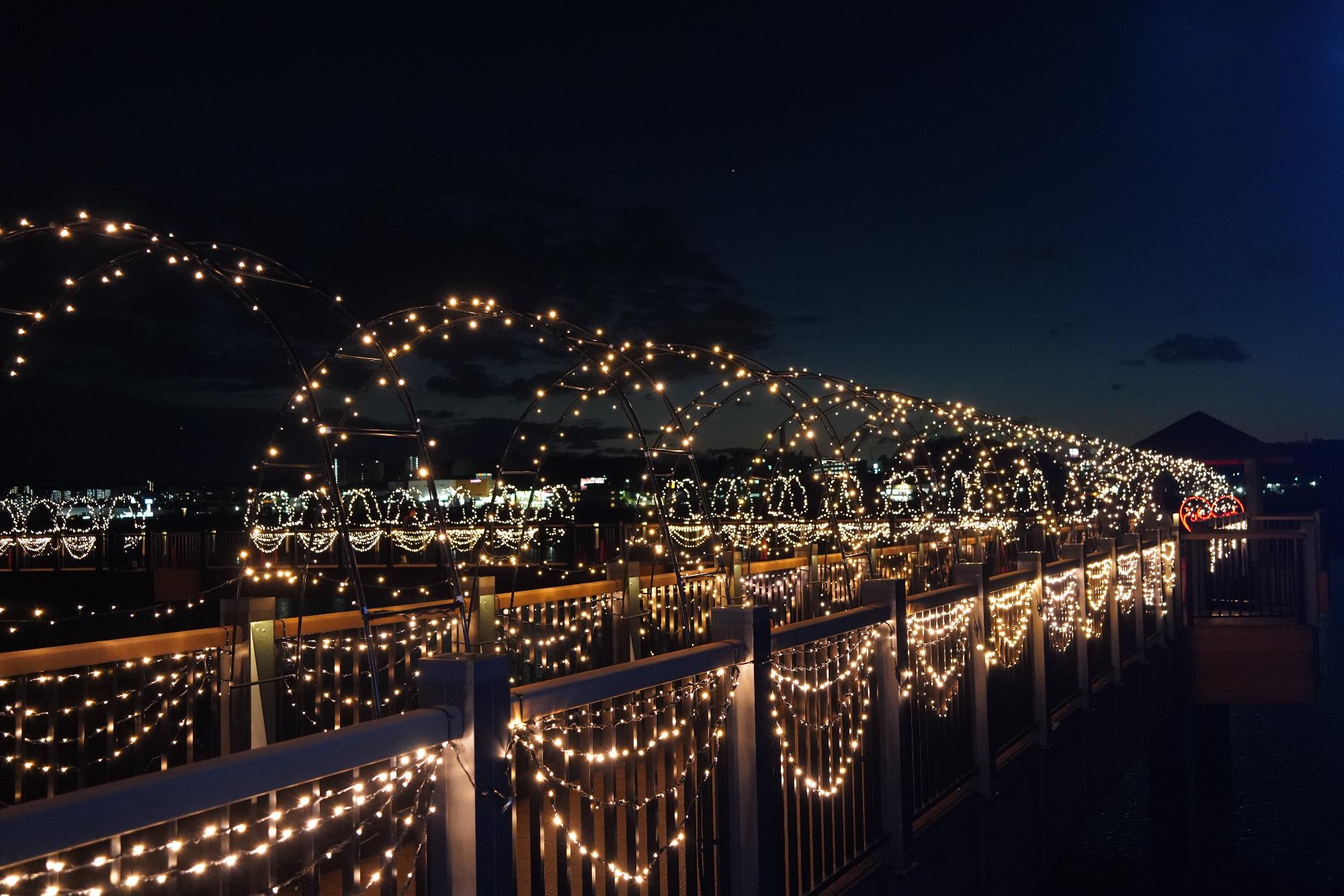 木橋のライトアップ