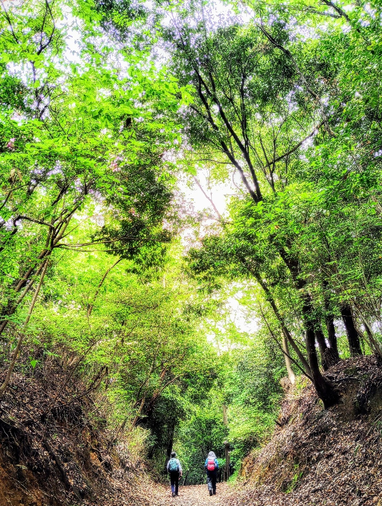 大阪狭山市フォトコンテスト〜2025年の思い出〜優秀賞01