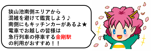 さやりんコメント