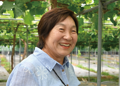 330山本さん385-278