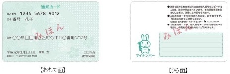 通知カード　見本