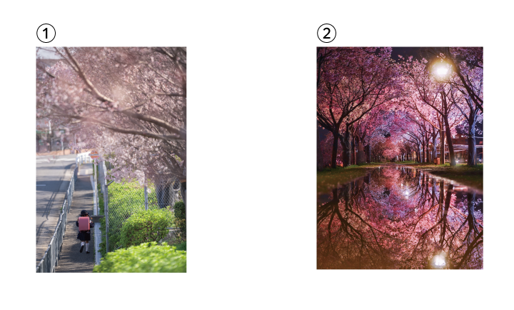 最終選考作品1、2