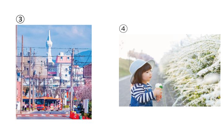 2023市民投票3、4