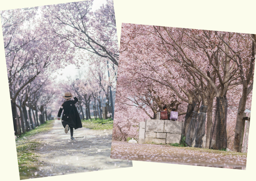 Instagramフォトコンテスト入選作品1