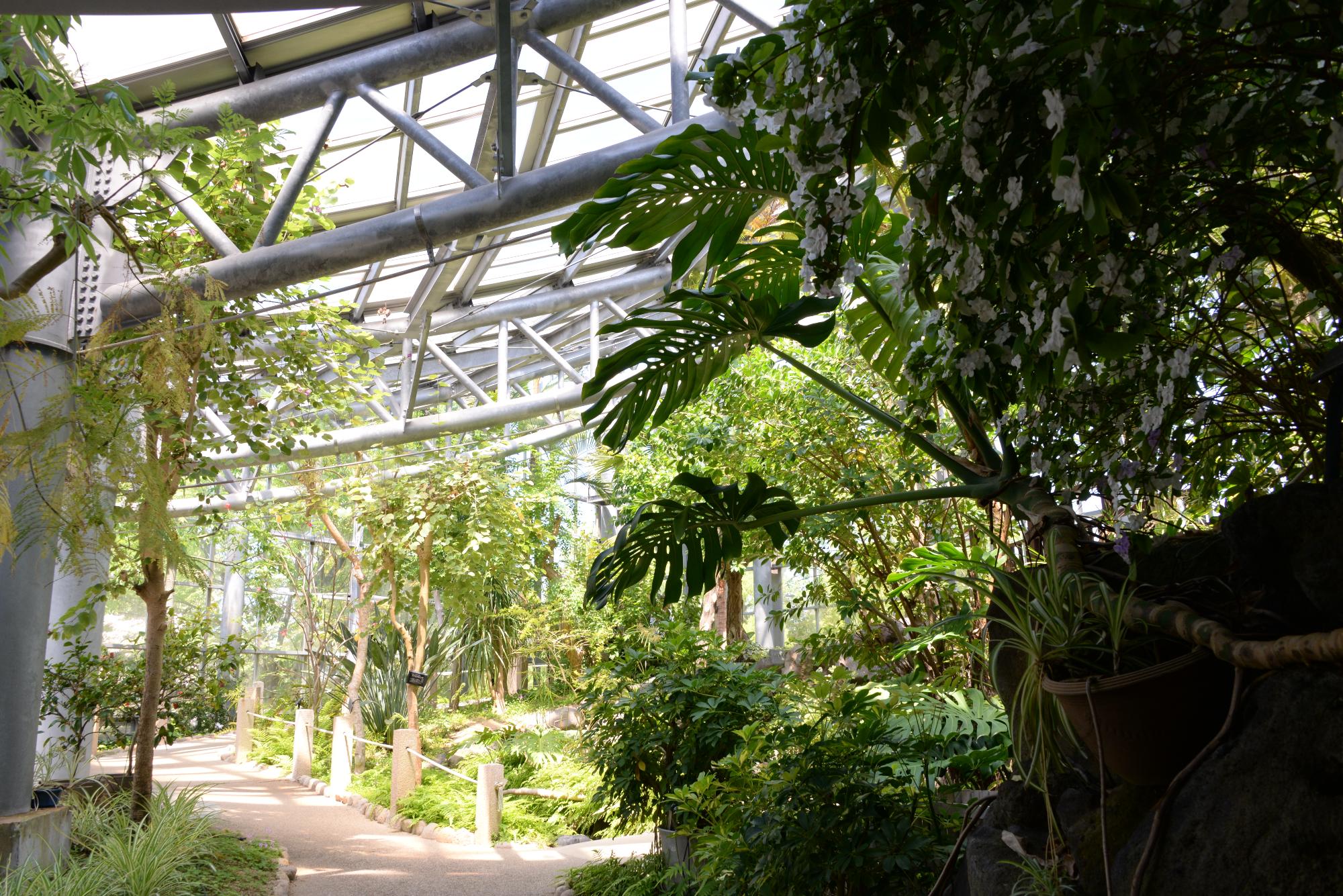 ふれあいの里植物園