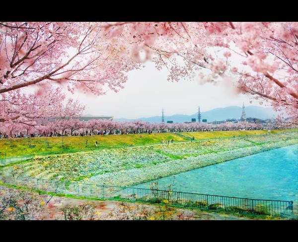 大阪狭山の春