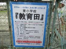 higasi2