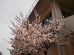 higashi1
