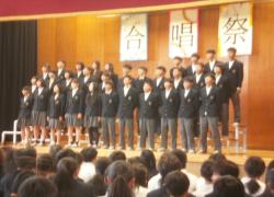 minami4