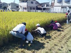 higashi2