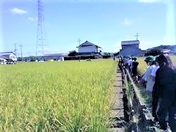 higashi1