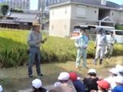 ichi1