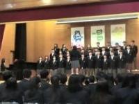 minami3