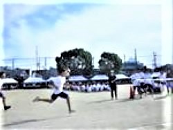 sayama3