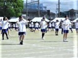 sayama2