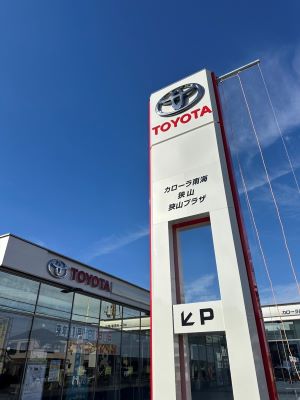 トヨタカローラ南海