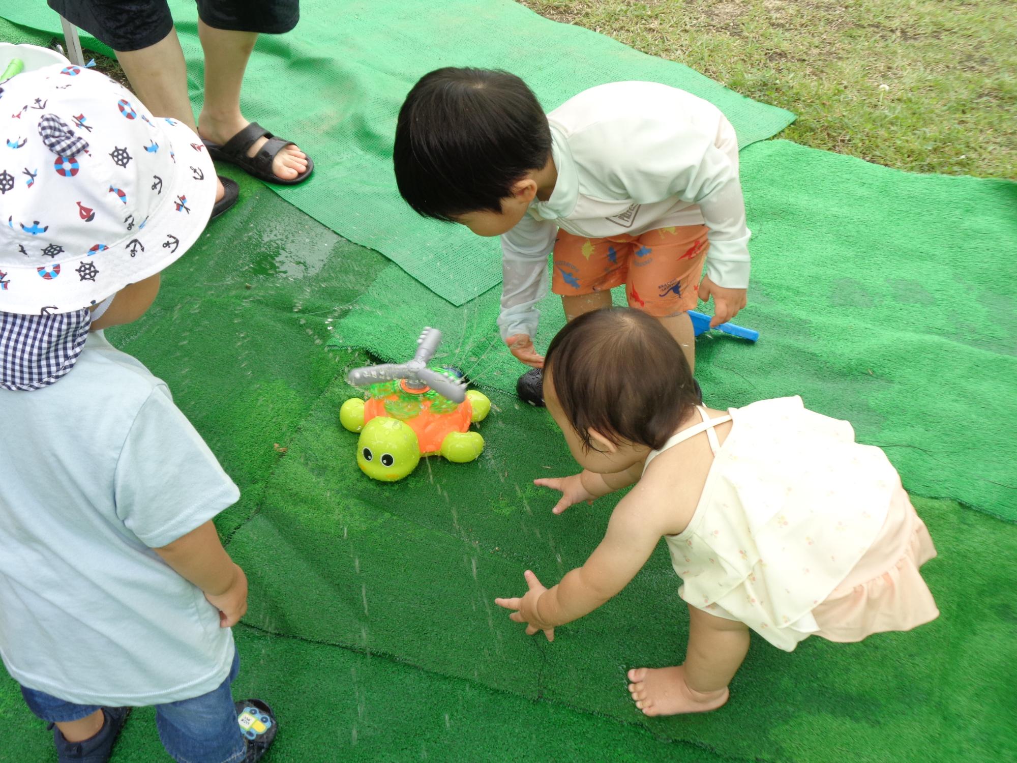 水遊びカメ