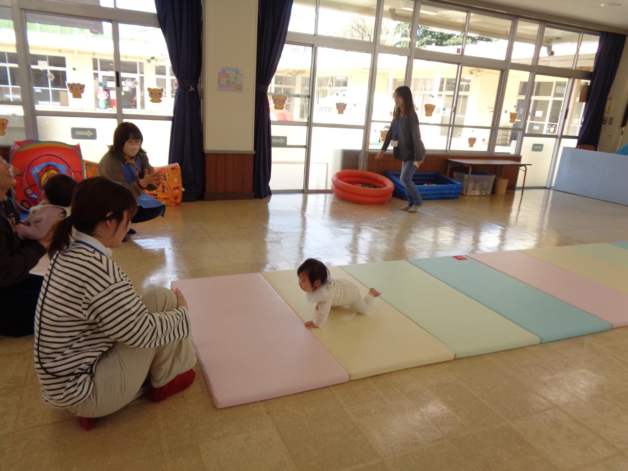 ハイハイレース